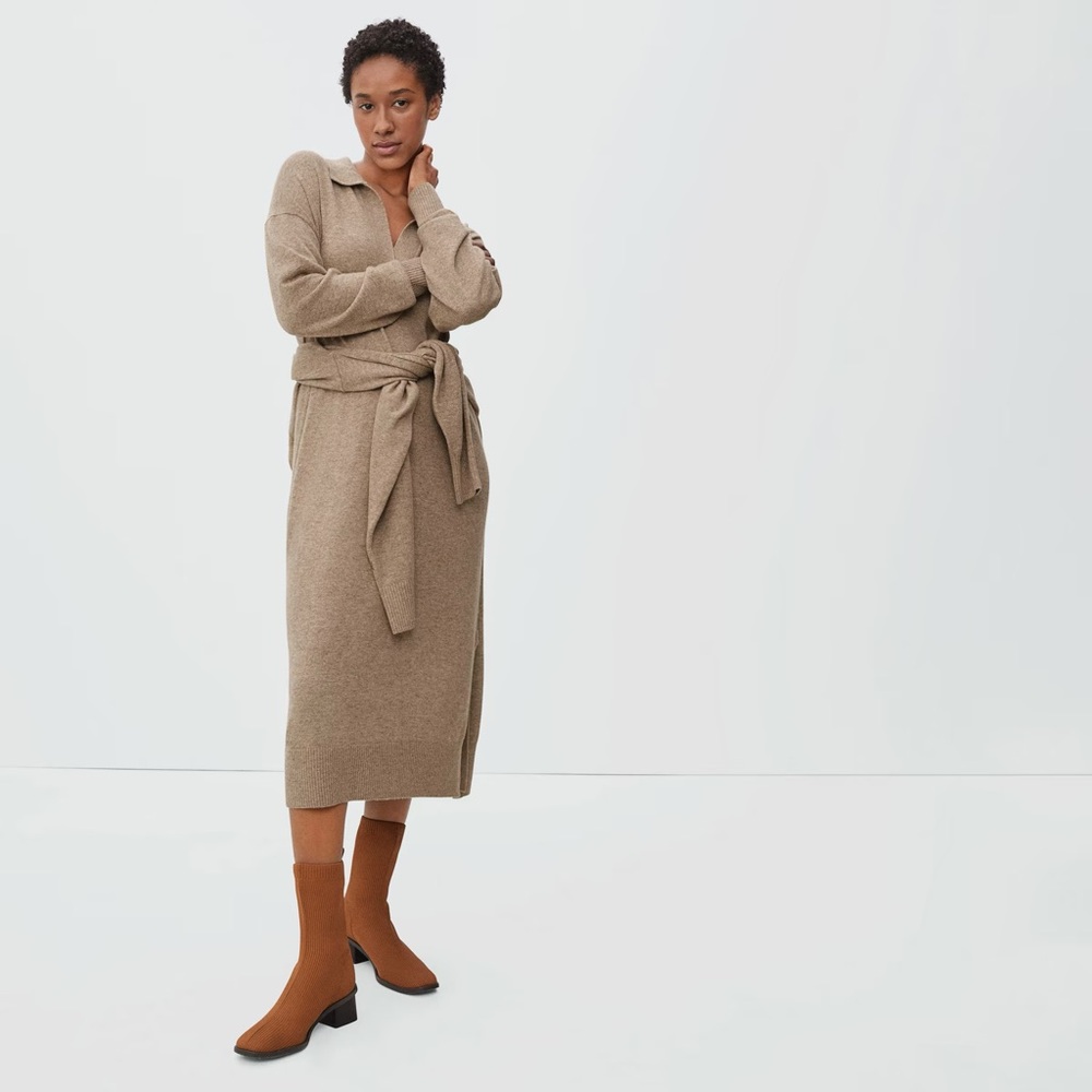 Everlane the Cashmere Polo Dress